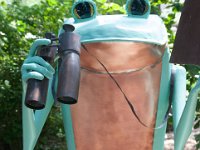 2016 Morton Arboretum Frogs